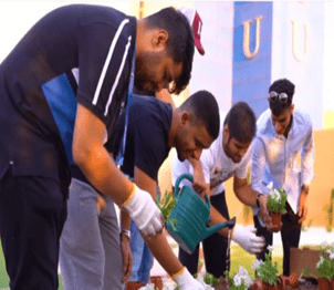 Afforestation Day
