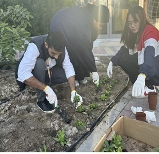 Afforestation Day