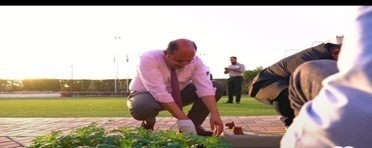 Afforestation Day