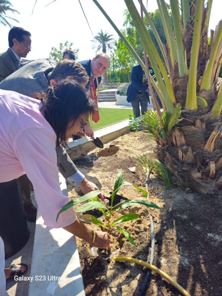 Gulf University Advances Sustainability with Tree-Planting Initiative Aligned with Bahrain's Afforestation Strategy